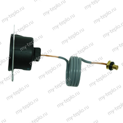 Манометр для котла Navien Ace Atmo 13-24 (manomACEAtmo)